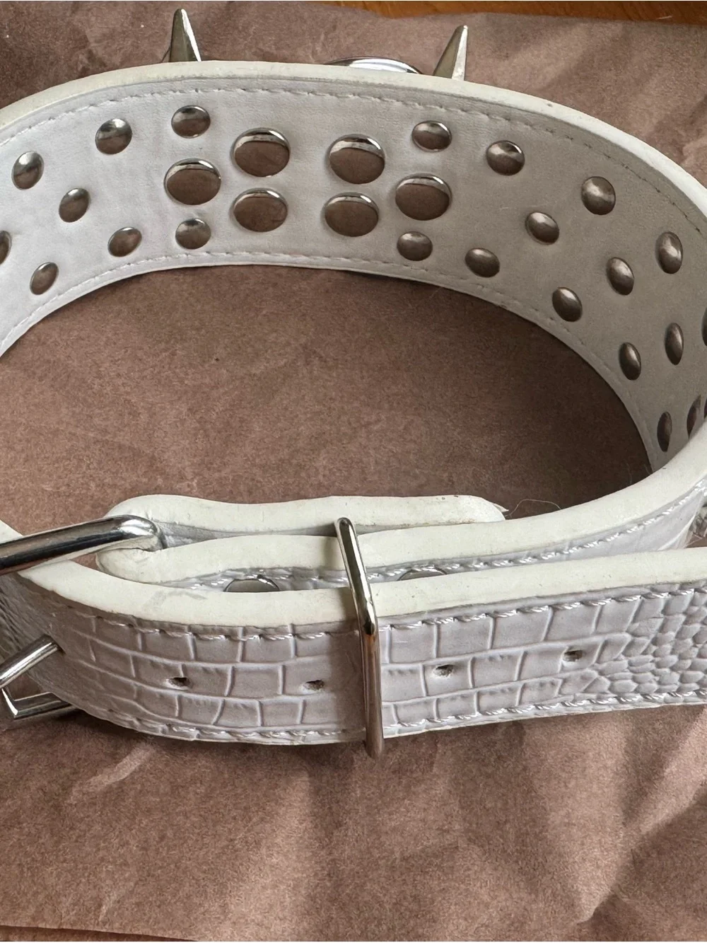 White Spiked Dog Collar | Medium 17–20”